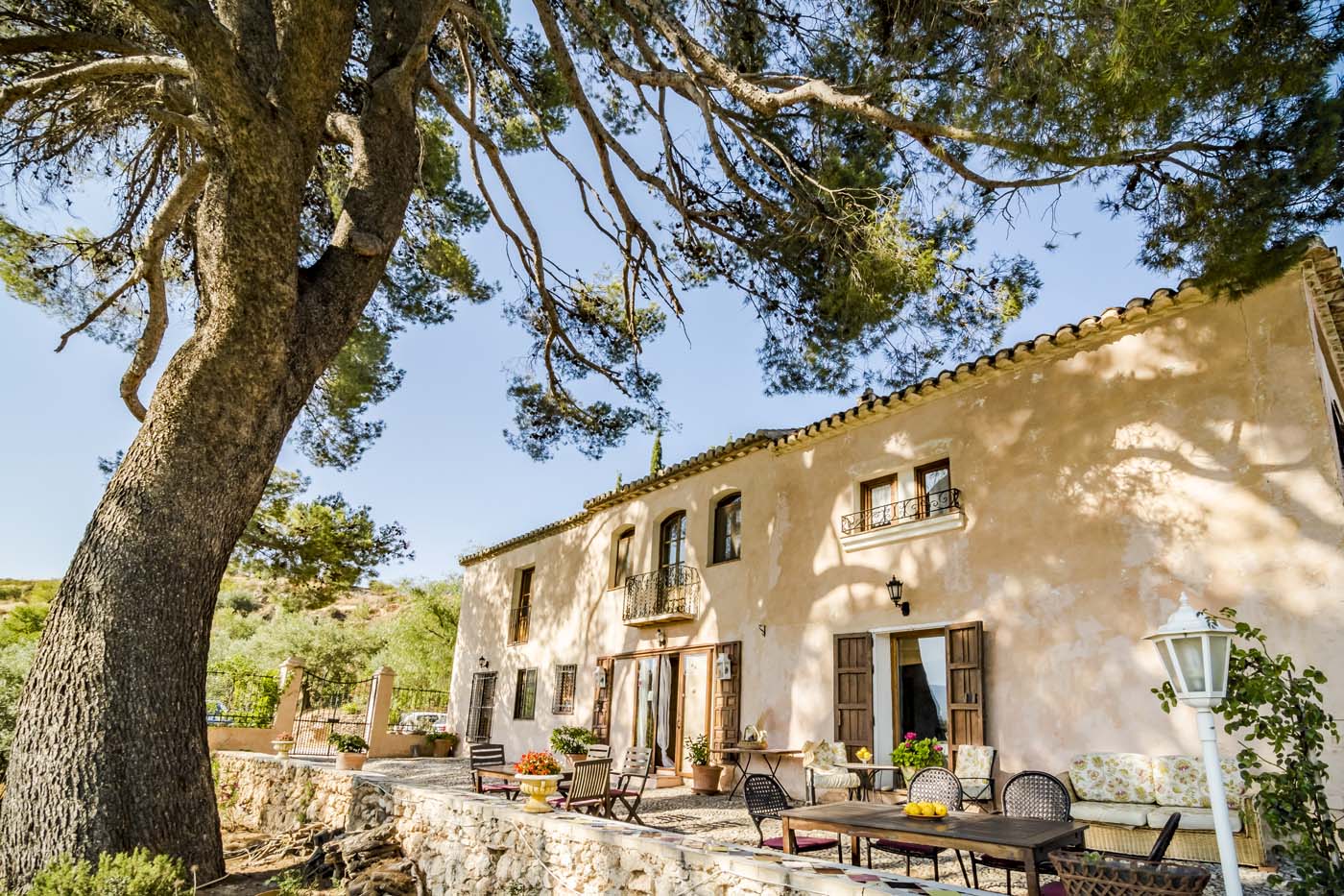 El pino centenario proporciona una deliciosa sombre en verano